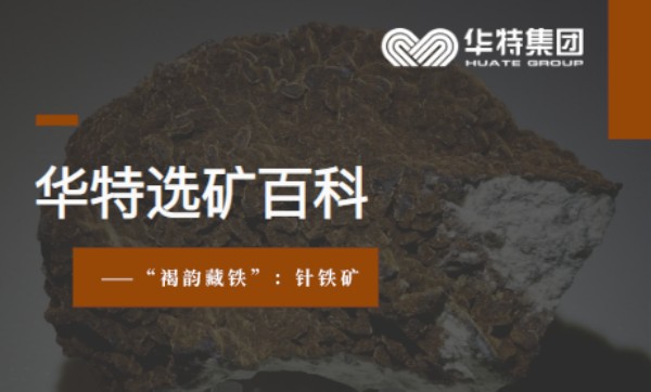 【7790必发集团选矿百科】针铁矿：褐韵藏铁